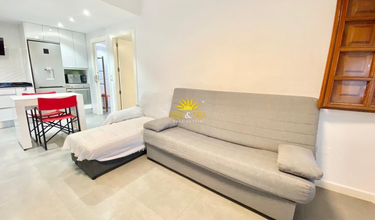 Winter rental - Studio apartment - Pilar de la Horadada - La Torre de la Horadada