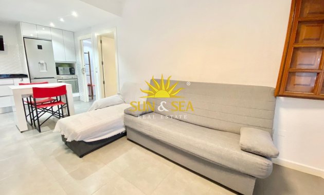 Winter rental - Studio apartment - Pilar de la Horadada - La Torre de la Horadada