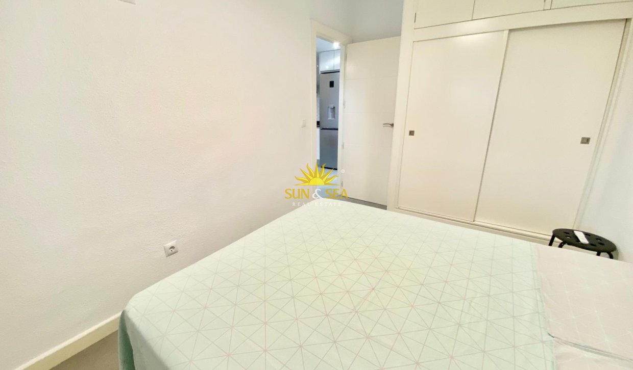 Winter rental - Studio apartment - Pilar de la Horadada - La Torre de la Horadada