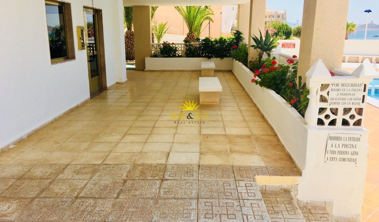 Location à long terme - Appartement - La Manga del Mar Menor - La Manga Del Mar Menor