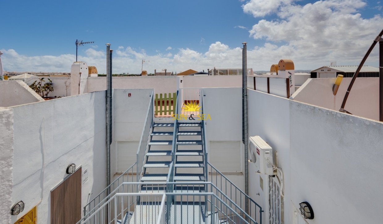 Alquiler a largo plazo - Bungalow - Torrevieja - torrevieja