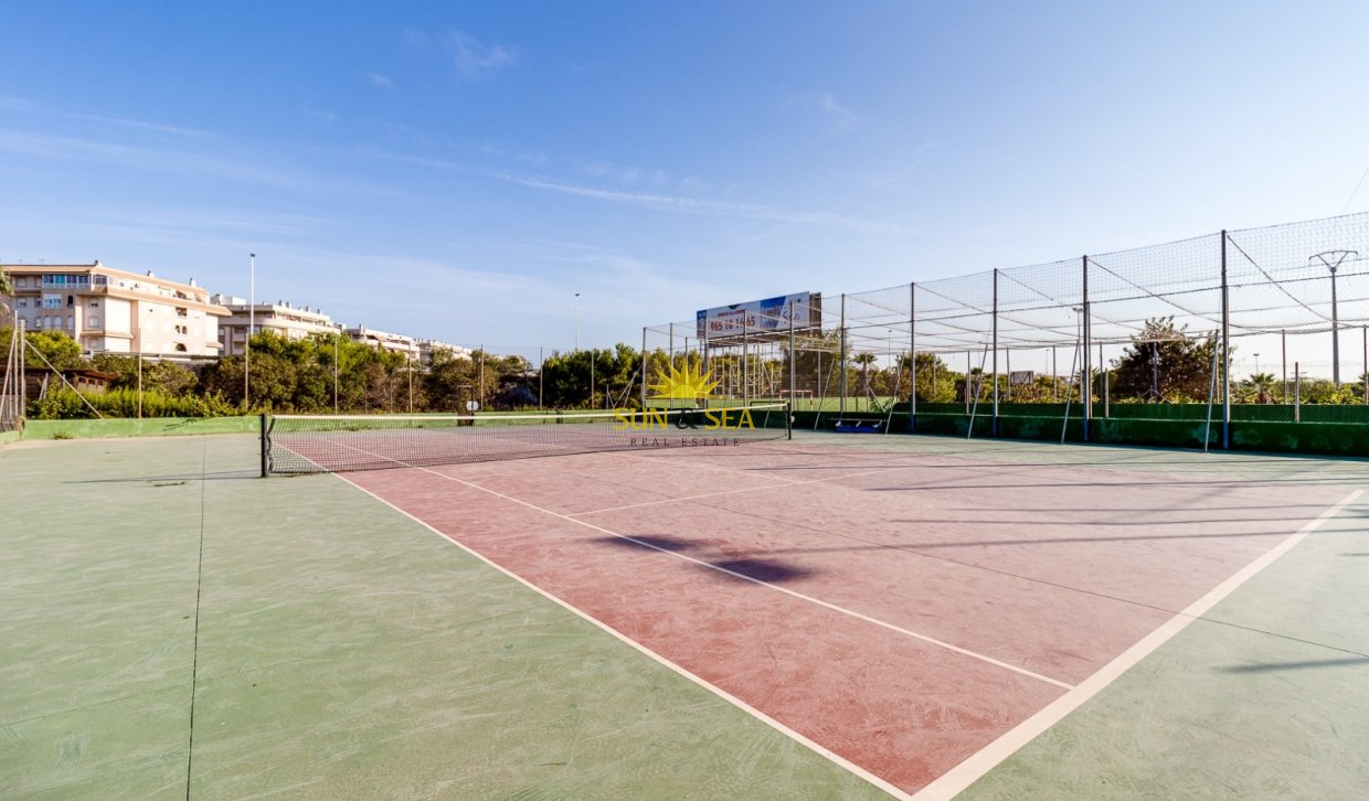 Alquiler a largo plazo - Bungalow - Torrevieja - torrevieja