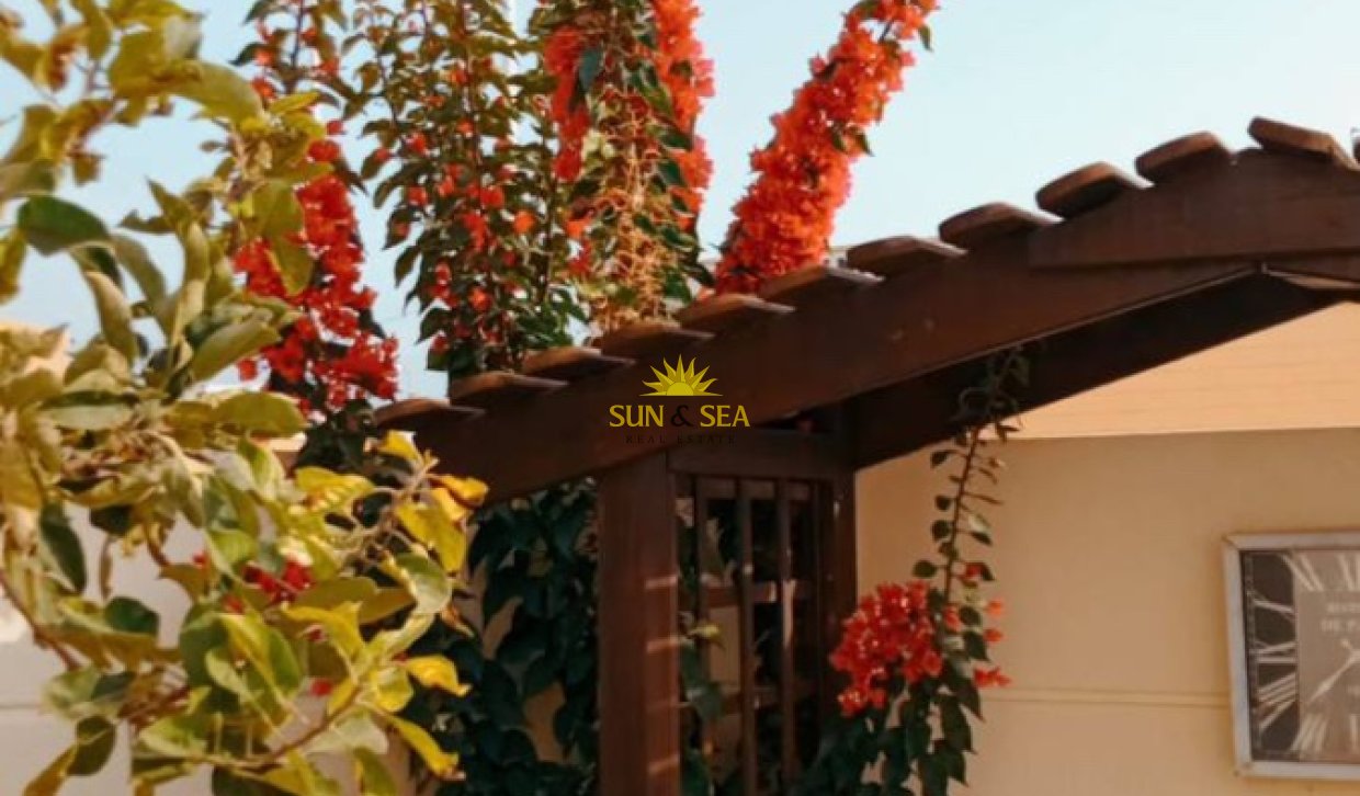 Location à long terme - Duplex - San Pedro del Pinatar - San Pedro del Pinatar pueblo