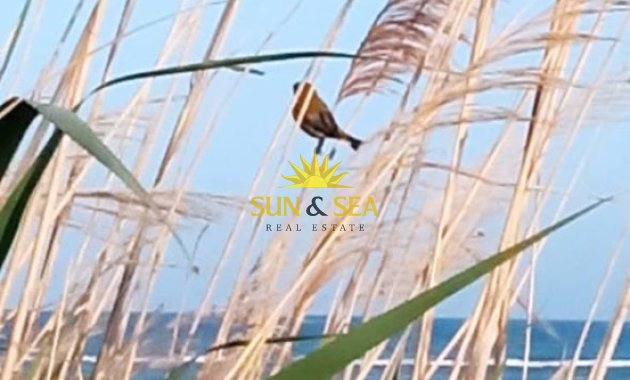 Location à long terme - Duplex - San Pedro del Pinatar - San Pedro del Pinatar pueblo