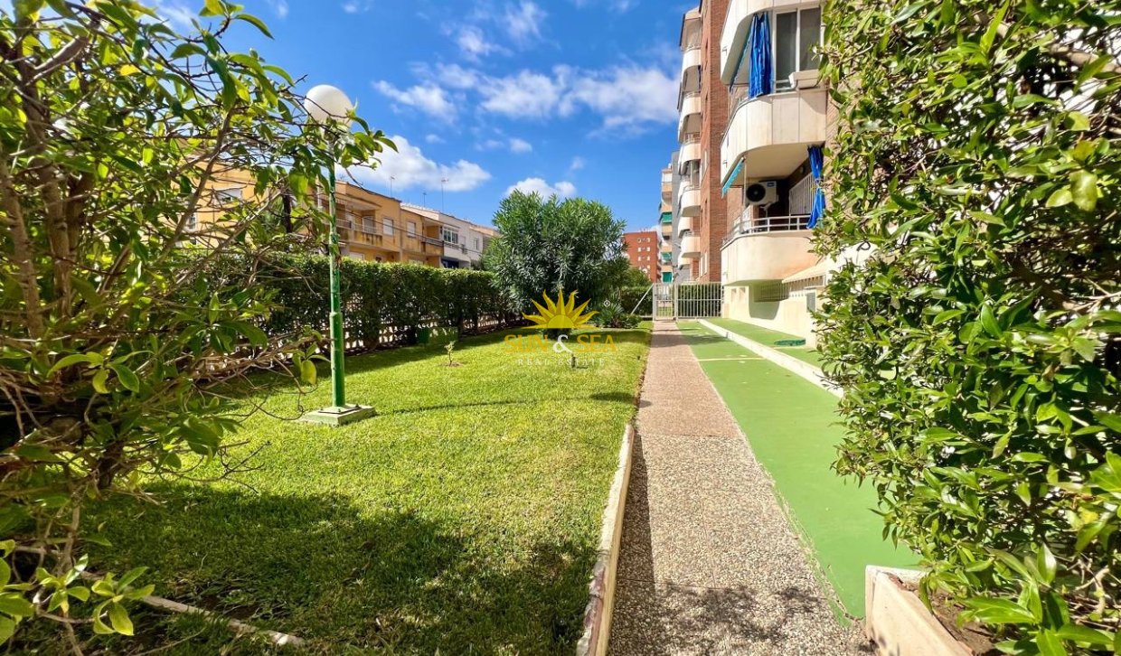 Kurzzeit-Vermietung - Penthouse - Orihuela Costa - Punta Prima