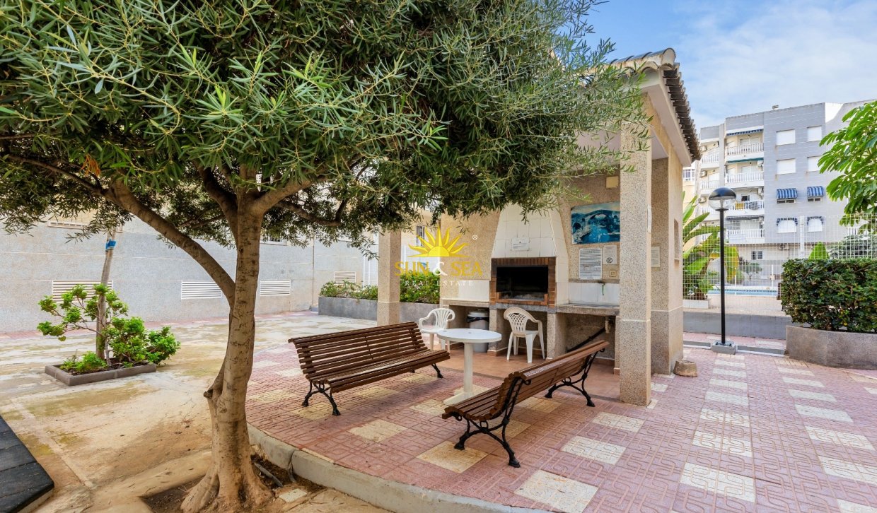 Langfristige Vermietung - Penthouse - Torrevieja - Centro
