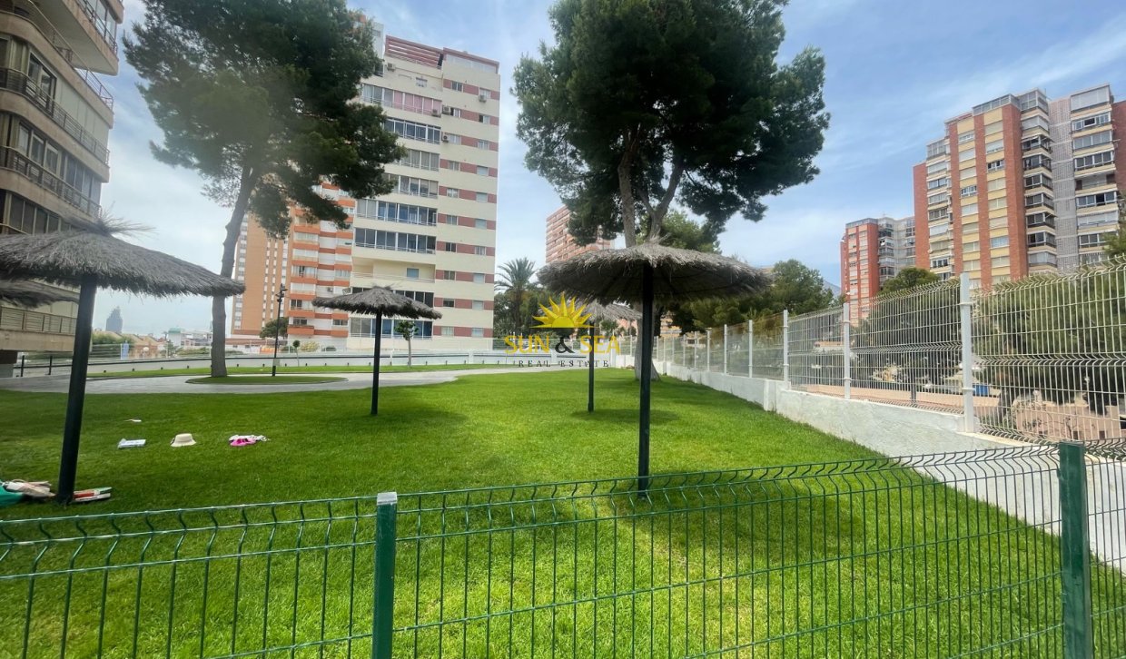 Long Term Rental - Apartment - Benidorm - Playa Poniente