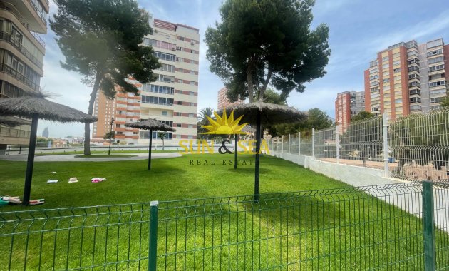 Long Term Rental - Apartment - Benidorm - Playa Poniente