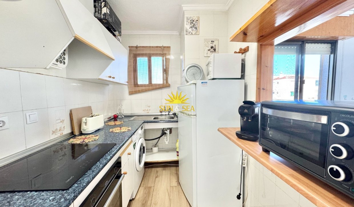 Langfristige Vermietung - Studio apartment - Torrevieja - 