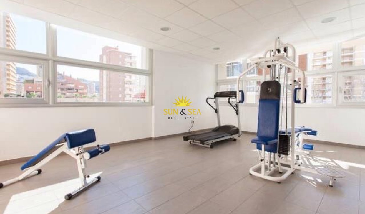 Long Term Rental - Apartment - Benidorm