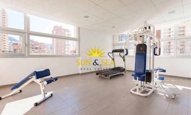 Long Term Rental - Apartment - Benidorm