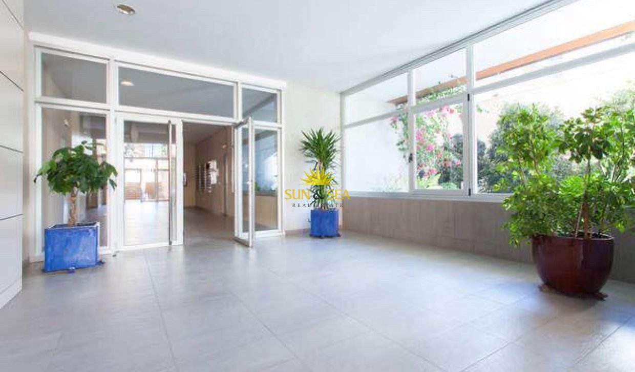 Long Term Rental - Apartment - Benidorm