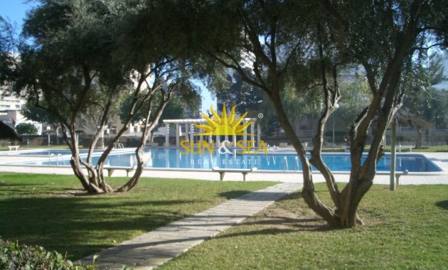Kurzzeit-Vermietung - Wohnung - Alicante - Playa San Juan