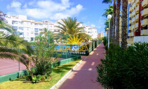 Kurzzeit-Vermietung - Wohnung -  - La Manga Del Mar Menor
