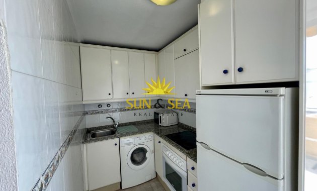 Long Term Rental - Penthouse - Torrevieja - La Mata