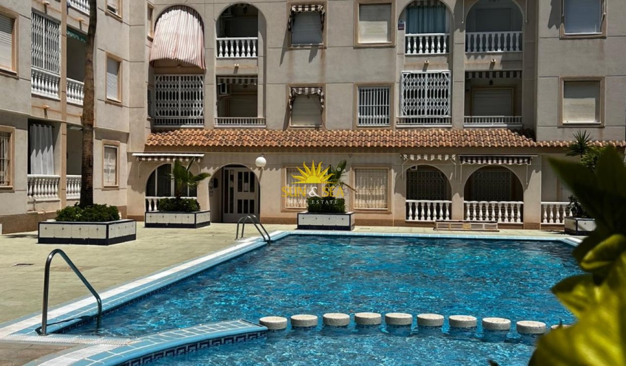 Long Term Rental - Penthouse - Torrevieja - Curva del Palangre