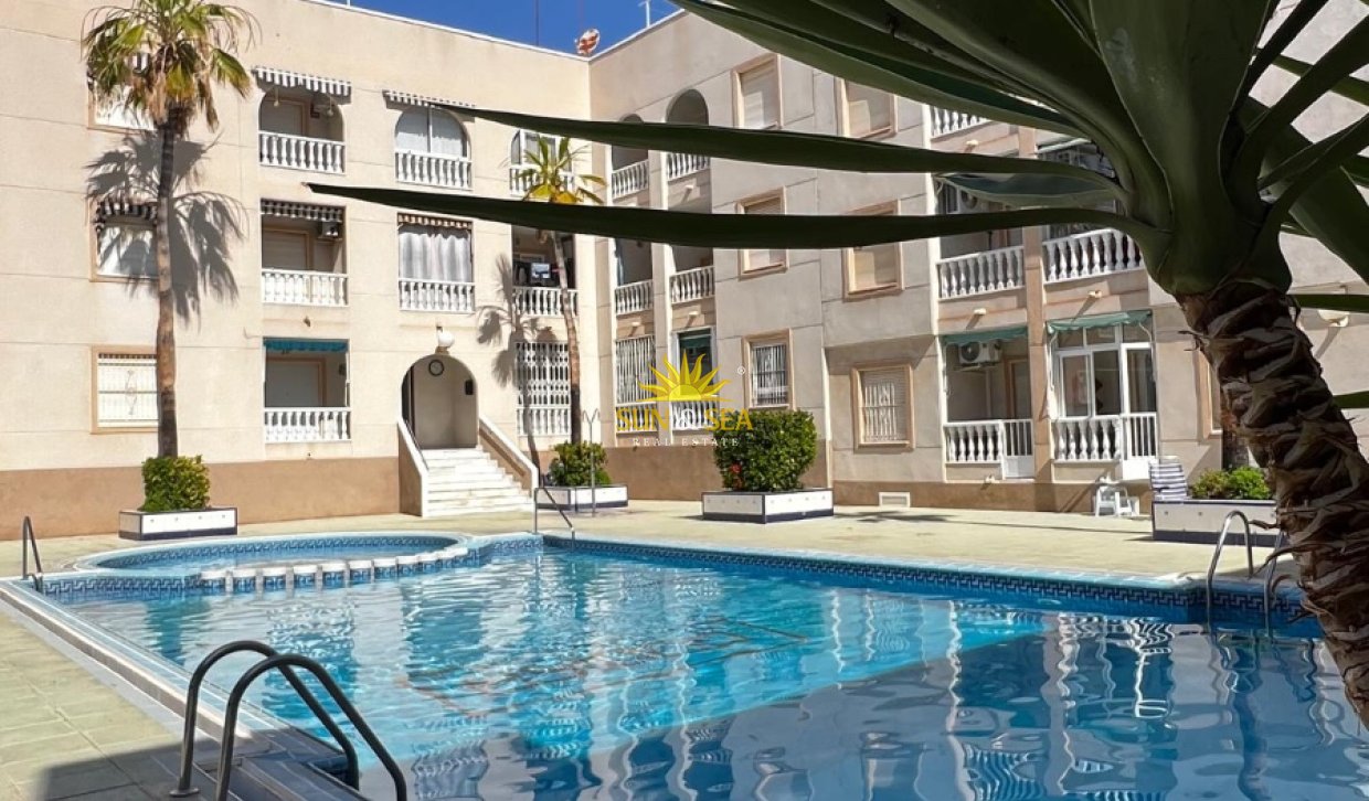 Long Term Rental - Penthouse - Torrevieja - Curva del Palangre
