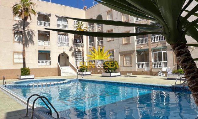 Long Term Rental - Penthouse - Torrevieja - Curva del Palangre