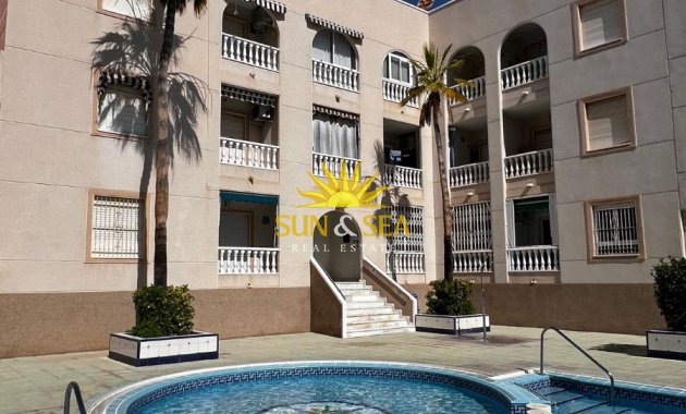 Long Term Rental - Penthouse - Torrevieja - Curva del Palangre