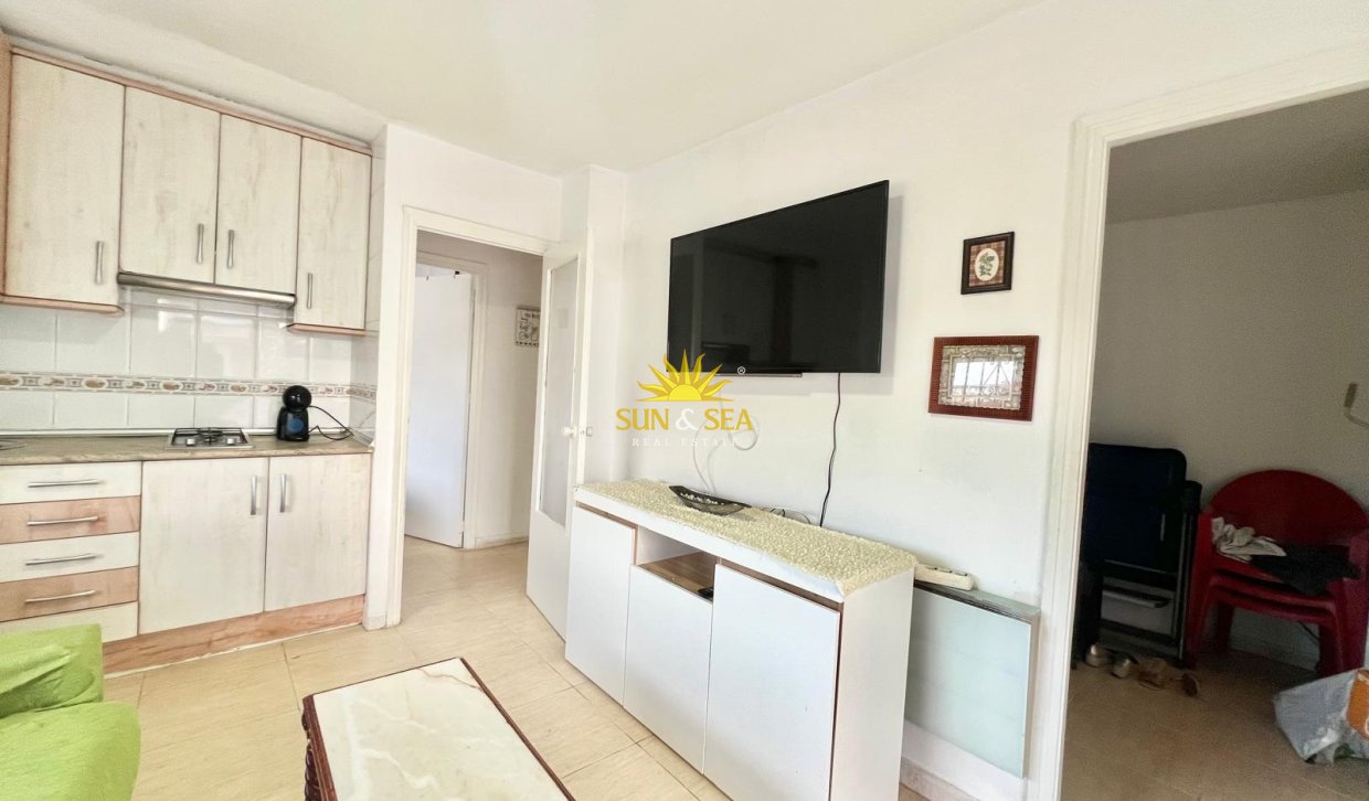 Winter rental - Apartment - Torrevieja - torrevieja