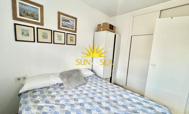 Winter rental - Apartment - Torrevieja - torrevieja