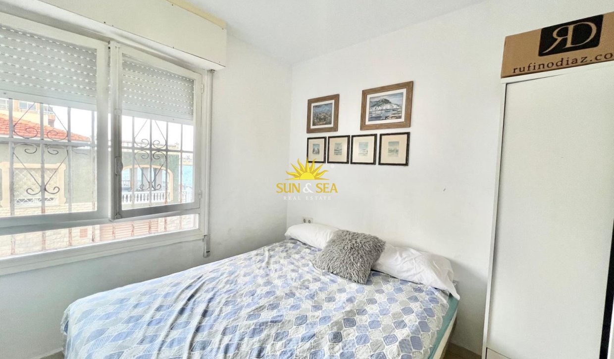 Winter rental - Apartment - Torrevieja - torrevieja