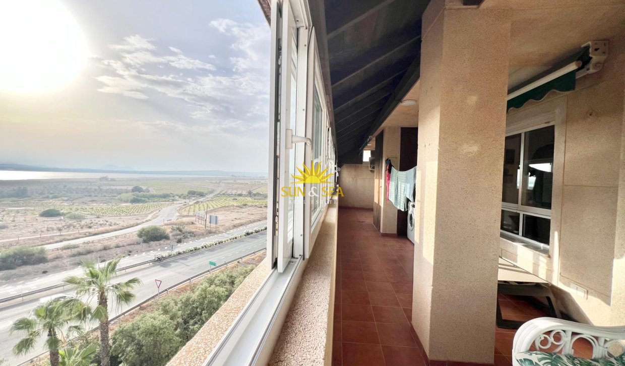 Langfristige Vermietung - Wohnung - Torrevieja - La Mata
