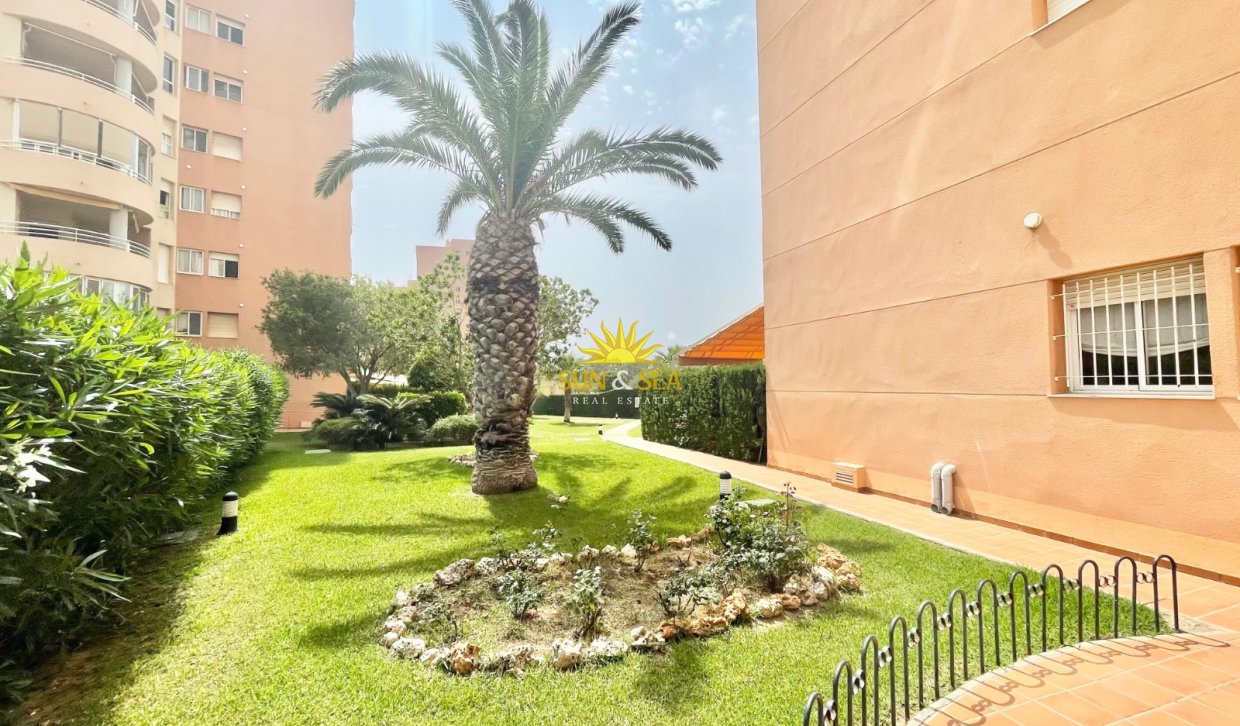 Winter rental - Apartment - Orihuela Costa - Dehesa de campoamor