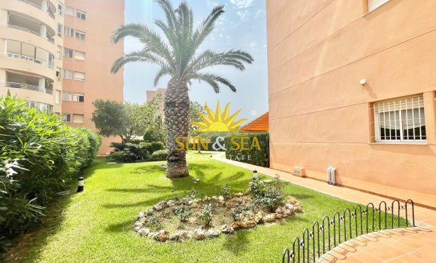 Winter rental - Apartment - Orihuela Costa - Dehesa de campoamor