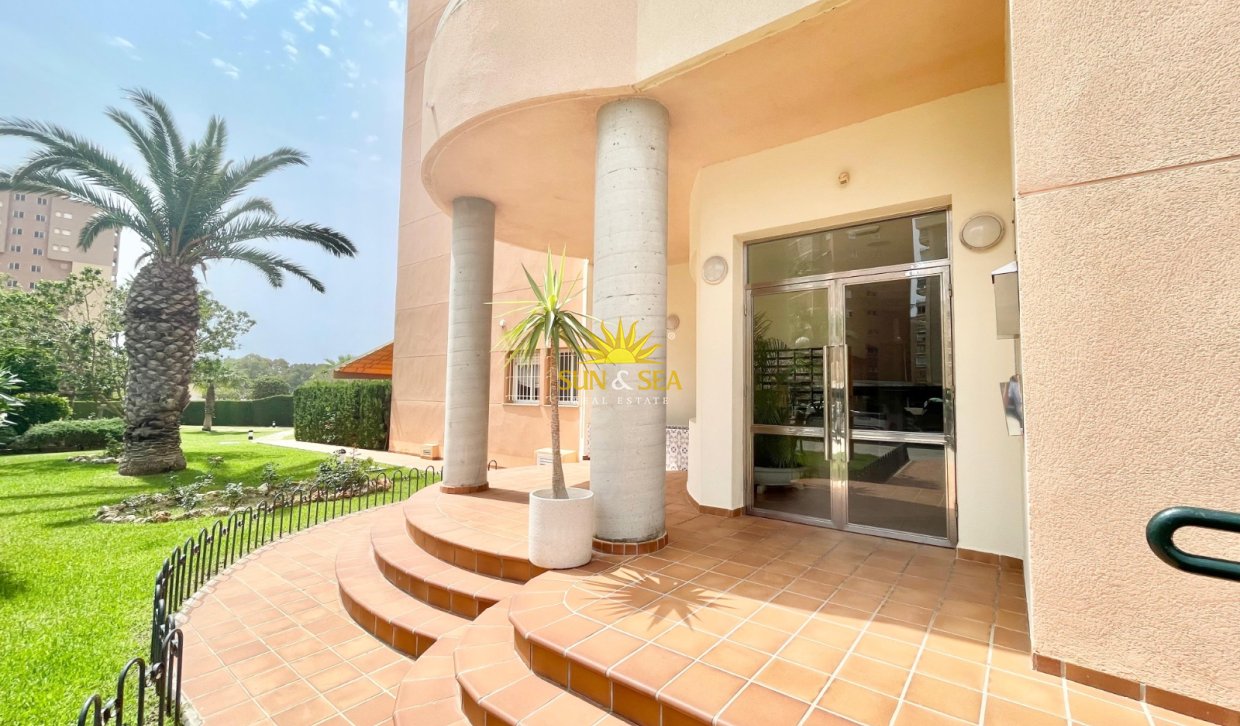 Winter rental - Apartment - Orihuela Costa - Dehesa de campoamor