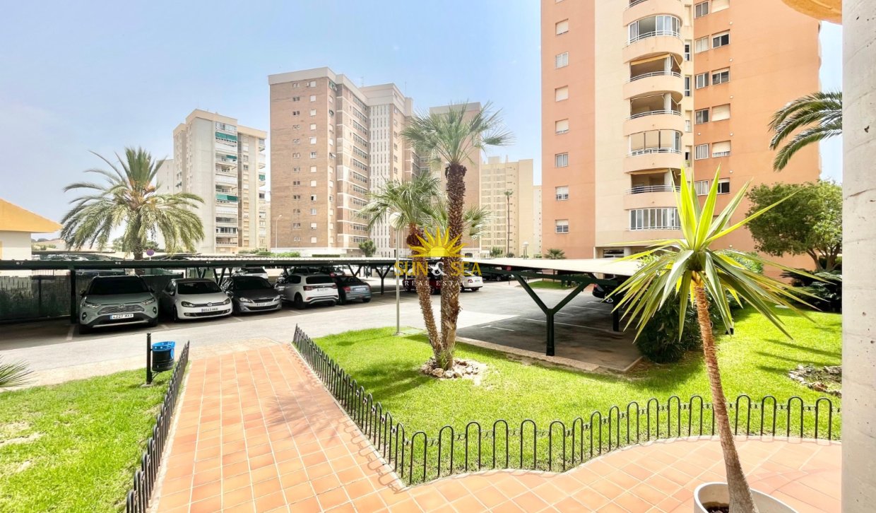 Winter rental - Apartment - Orihuela Costa - Dehesa de campoamor