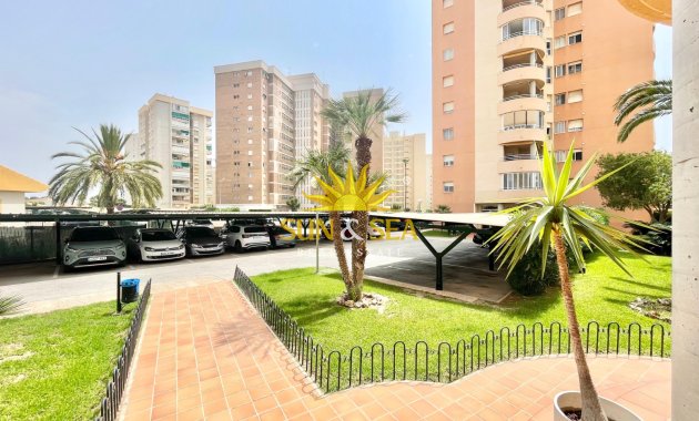Winter rental - Apartment - Orihuela Costa - Dehesa de campoamor