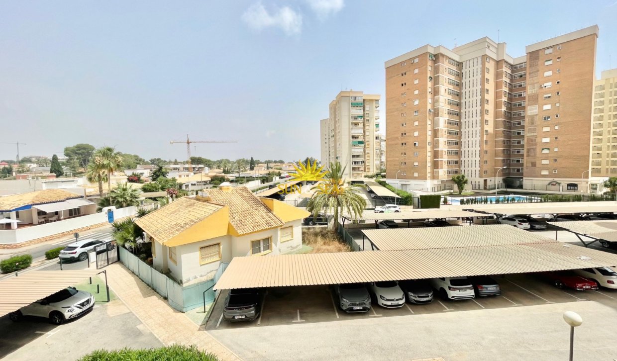 Winter rental - Apartment - Orihuela Costa - Dehesa de campoamor