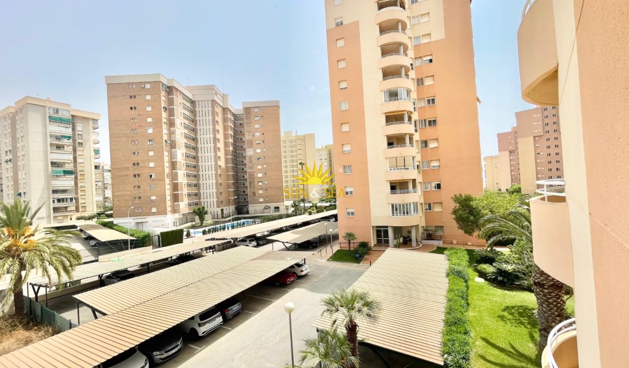Winter rental - Apartment - Orihuela Costa - Dehesa de campoamor