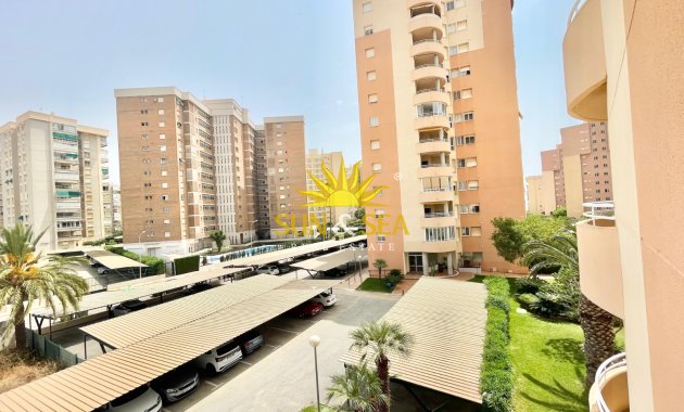 Winter rental - Apartment - Orihuela Costa - Dehesa de campoamor