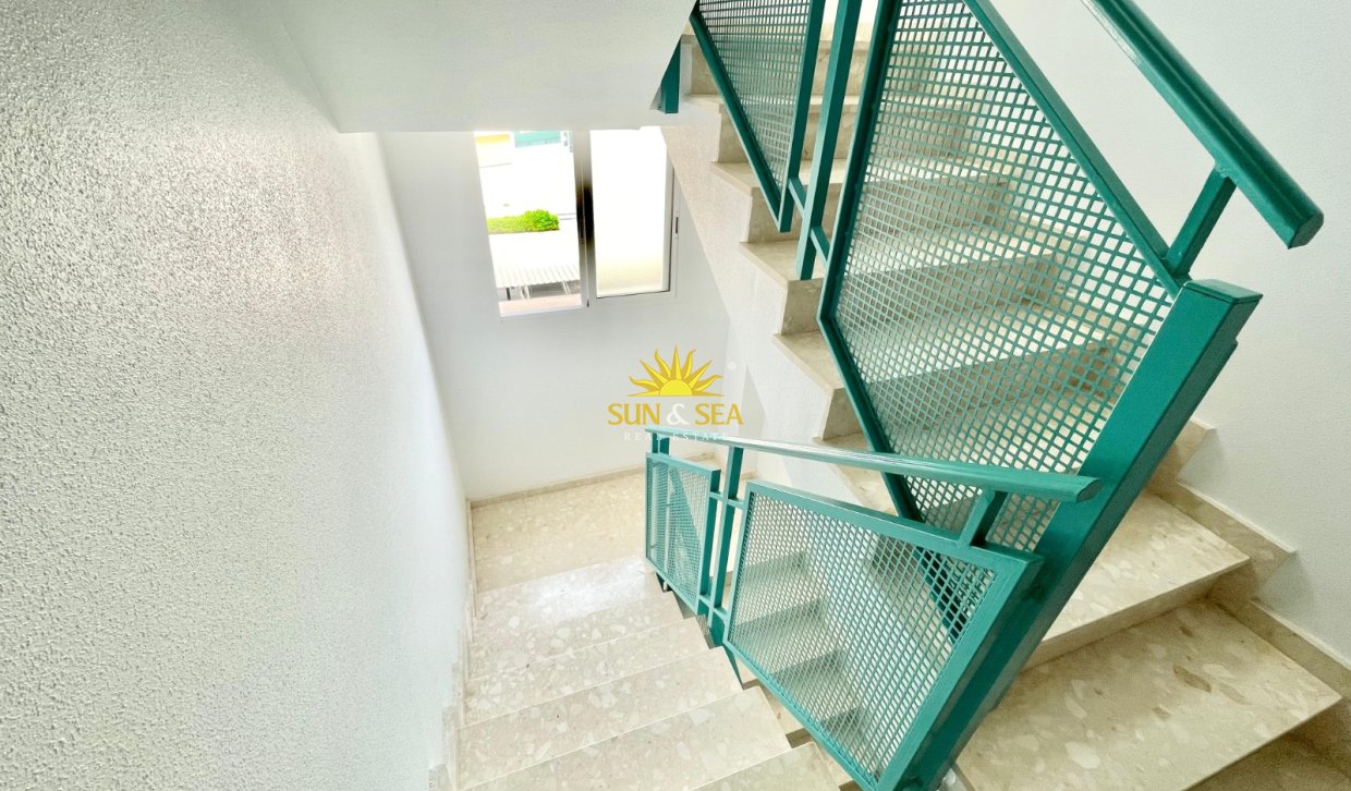 Winter rental - Apartment - Orihuela Costa - Dehesa de campoamor