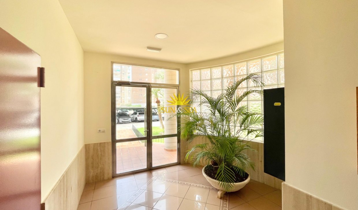Winter rental - Apartment - Orihuela Costa - Dehesa de campoamor