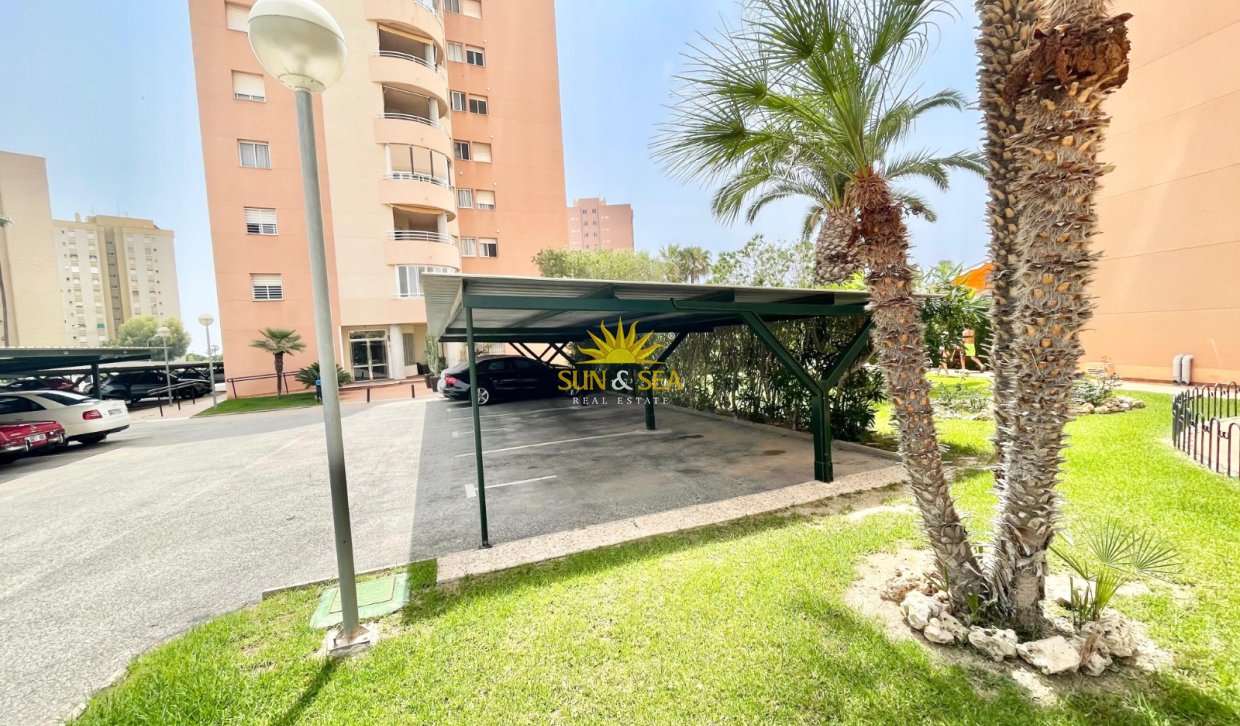 Winter rental - Apartment - Orihuela Costa - Dehesa de campoamor