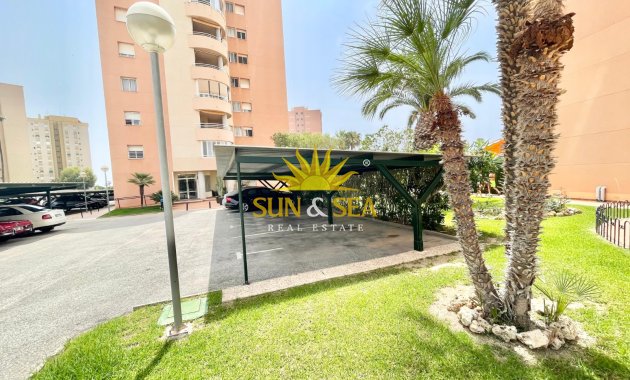 Winter rental - Apartment - Orihuela Costa - Dehesa de campoamor