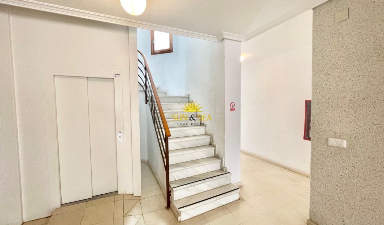 Long Term Rental - Apartment - Torrevieja - Centro