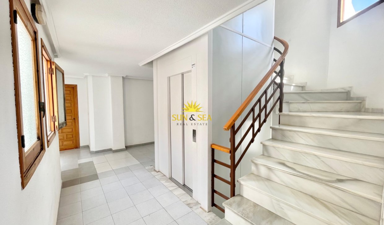 Long Term Rental - Apartment - Torrevieja - Centro