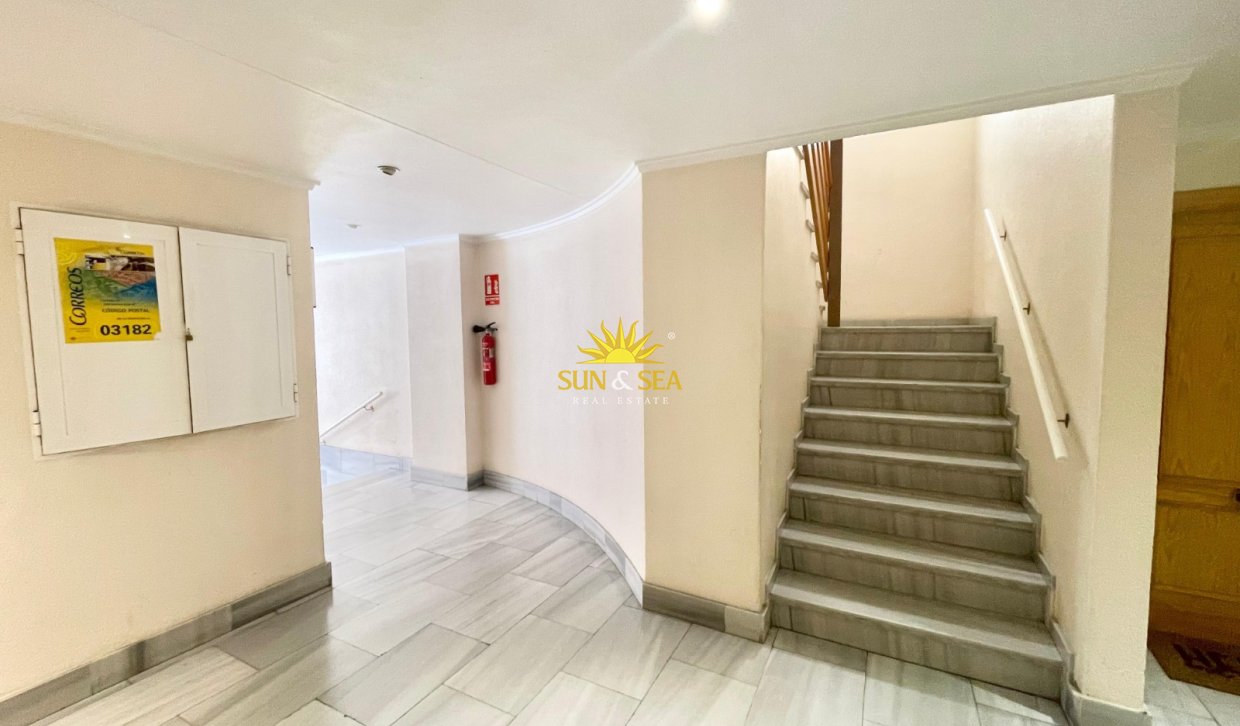 Alquiler a largo plazo - Apartamento - Torrevieja - Centro