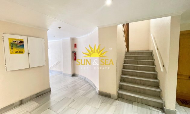 Alquiler a largo plazo - Apartamento - Torrevieja - Centro