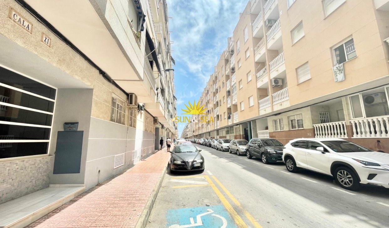 Alquiler a largo plazo - Apartamento - Torrevieja - Centro