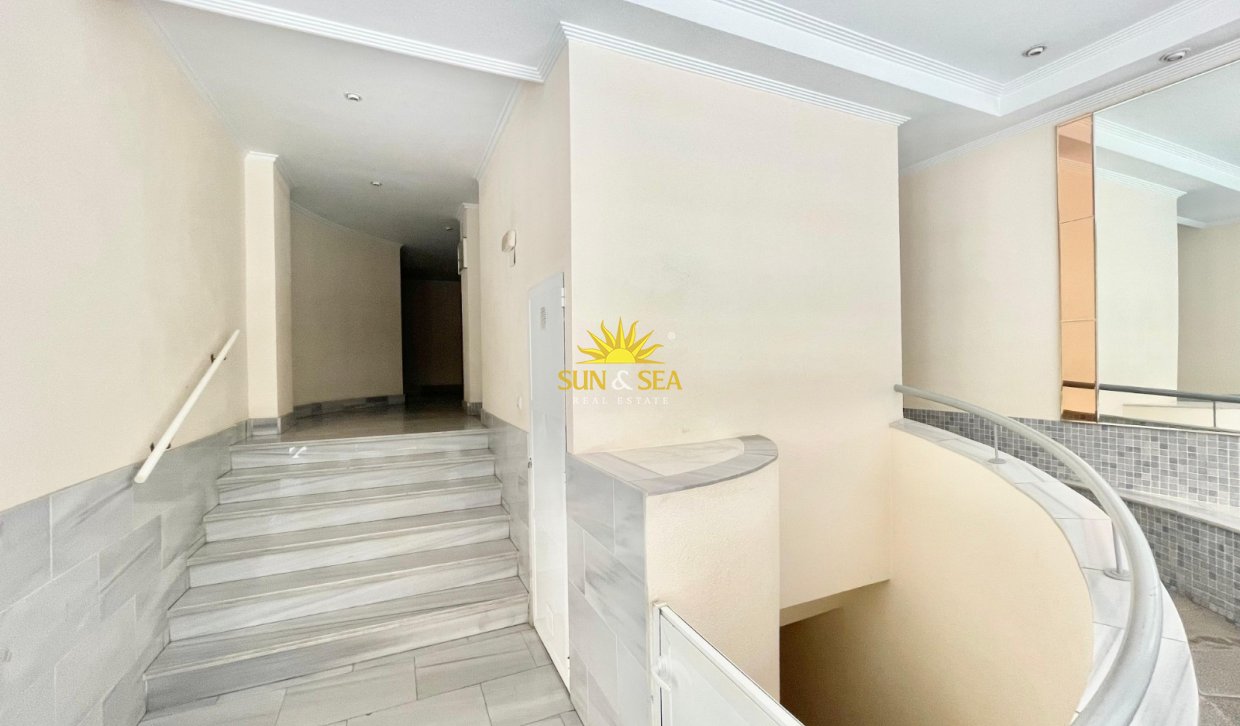 Alquiler a largo plazo - Apartamento - Torrevieja - Centro