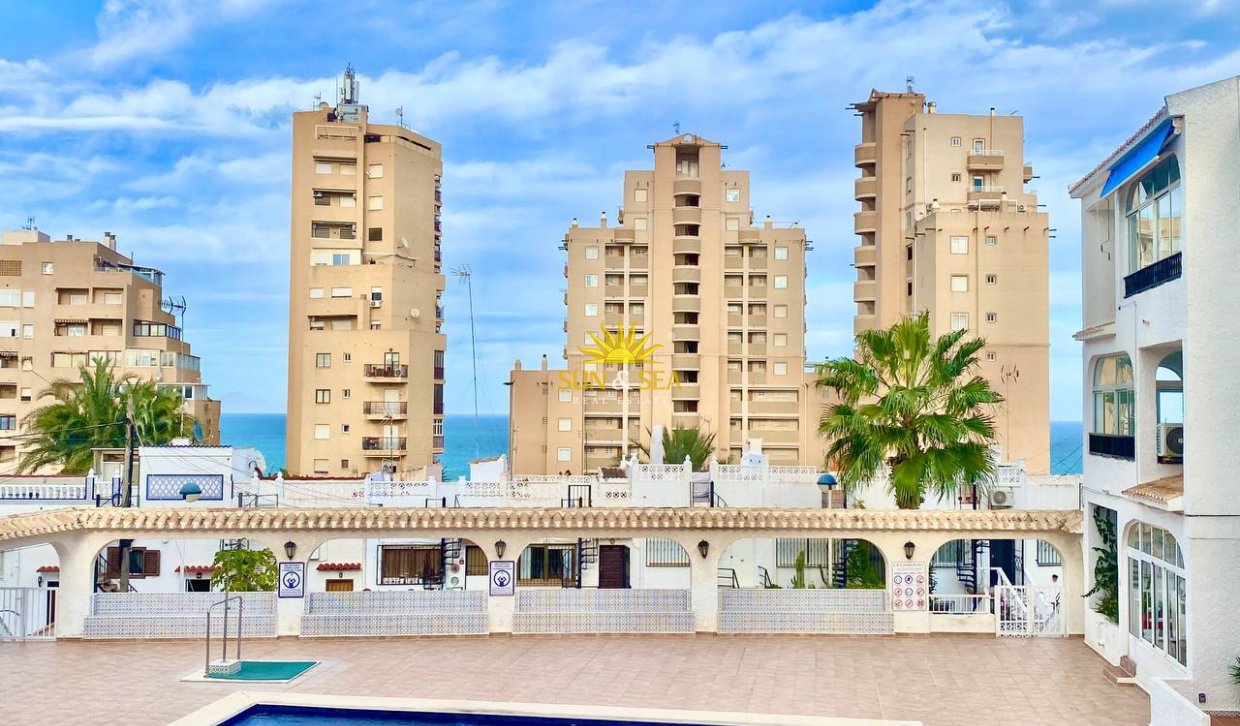Зимняя аренда - Studio apartment - Torrevieja - Torrelamata - La Mata