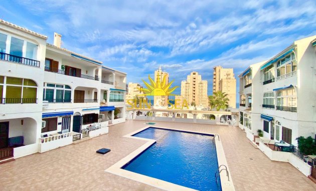 Зимняя аренда - Studio apartment - Torrevieja - Torrelamata - La Mata