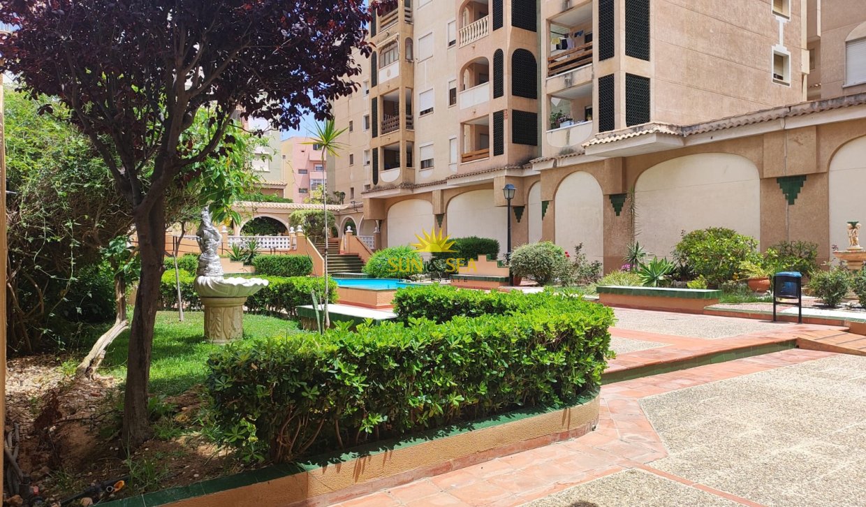 Long Term Rental - Apartment - Torrevieja - Centro