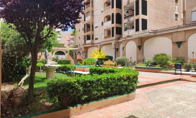 Long Term Rental - Apartment - Torrevieja - Centro