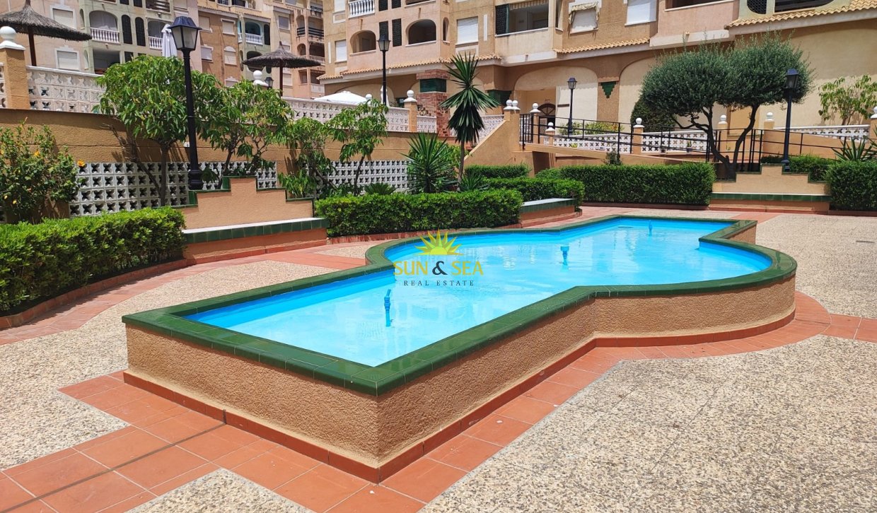 Long Term Rental - Apartment - Torrevieja - Centro